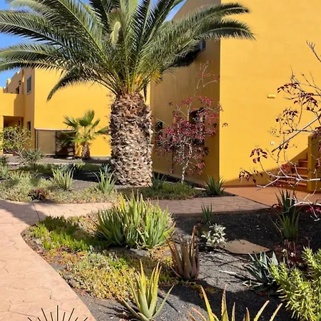 Sun House Apartment Corralejo